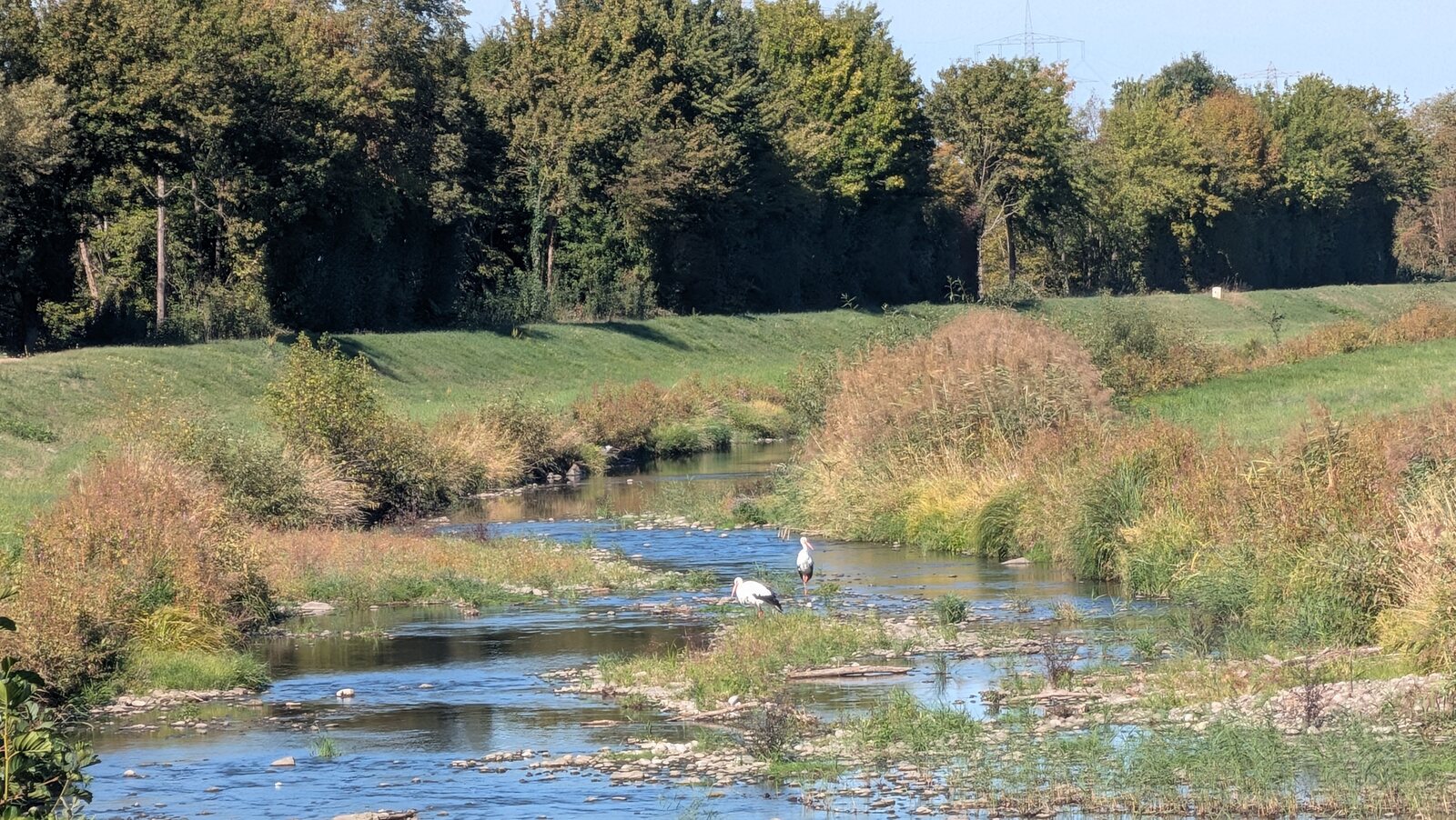 Ein flacher Wasserlauf zwischen Wiesen und Bäumen.